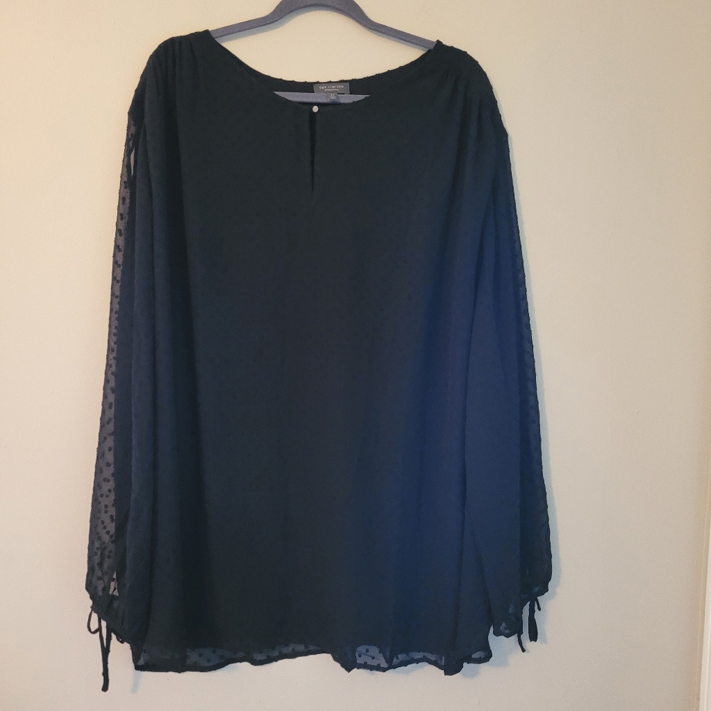 The Limited Collection Black Swiss Dot Blouse